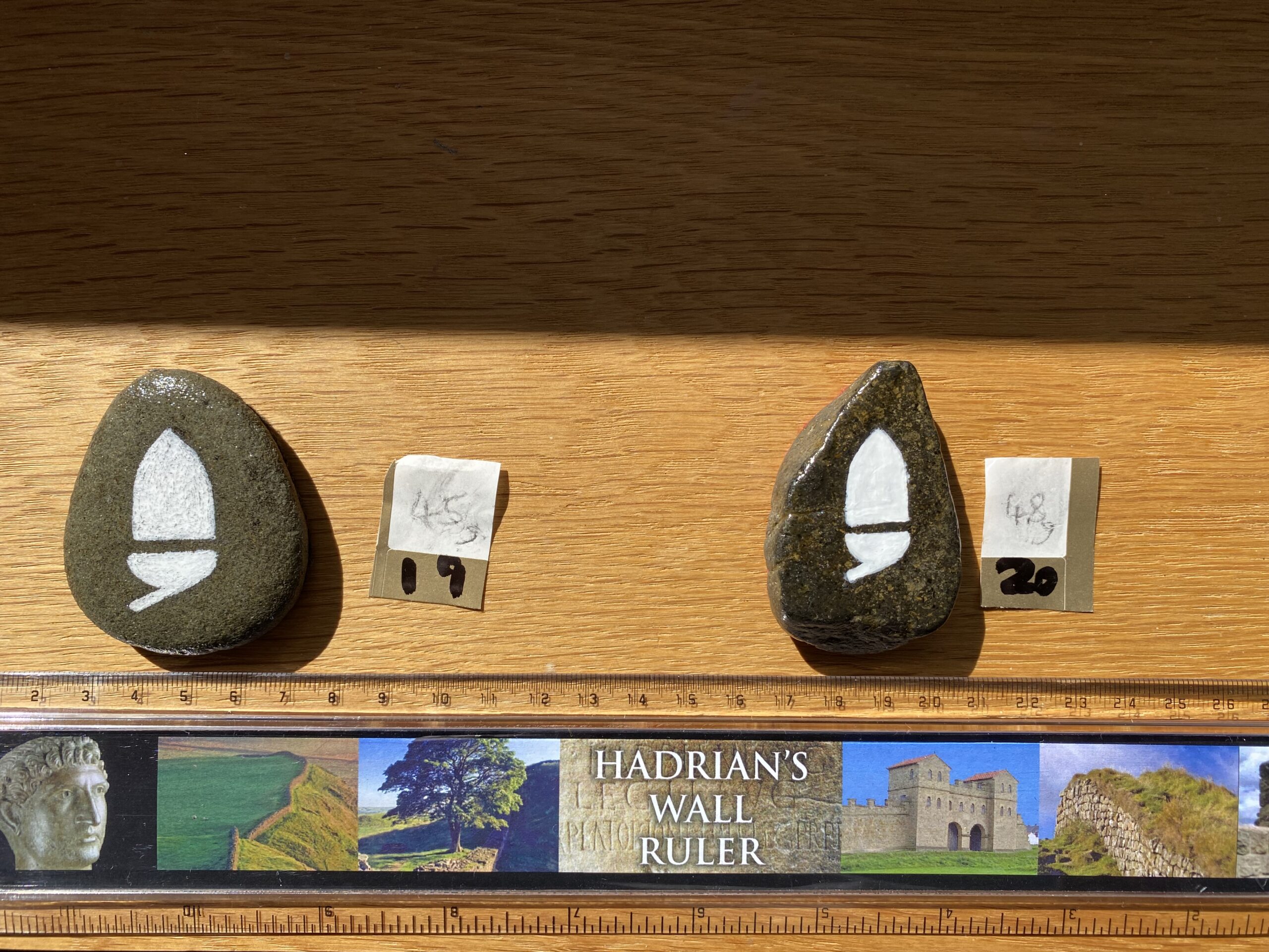 Acorn on Beach Stone (45-48g)